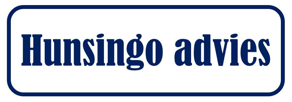 Hunsingo Advies